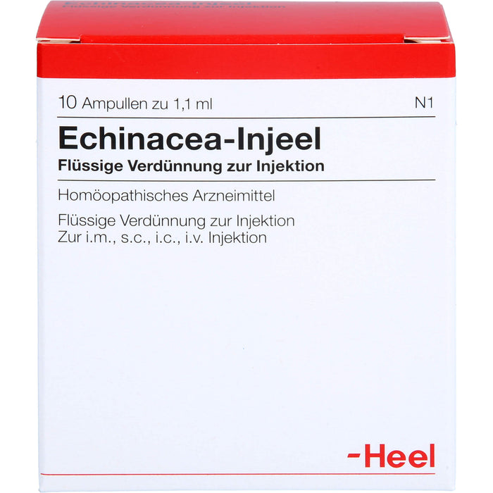 Echinacea-Injeel flüssige Verdünnung, 10 pc Ampoules