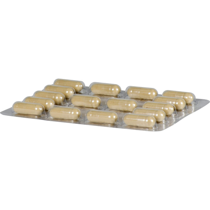 BULLRICH Heilerde Kapseln, 48 pcs. Capsules