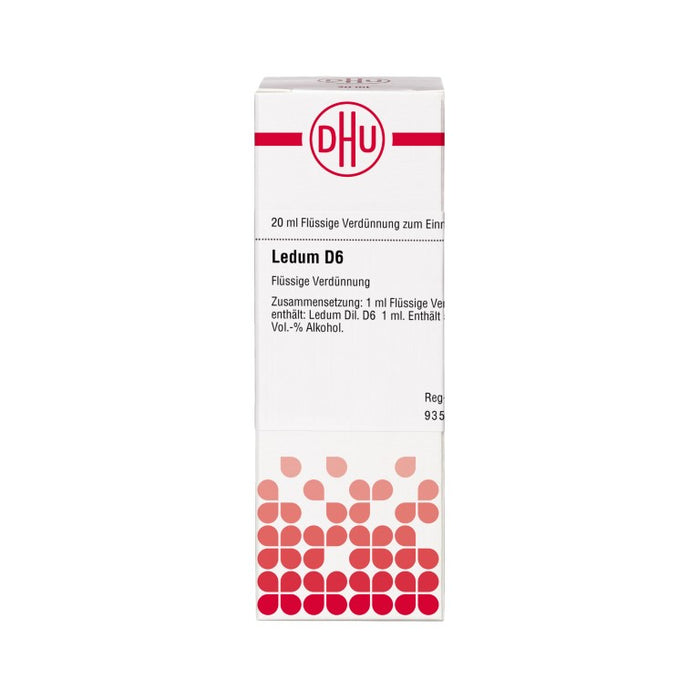 DHU Ledum D6 Dilution, 20 ml Lösung