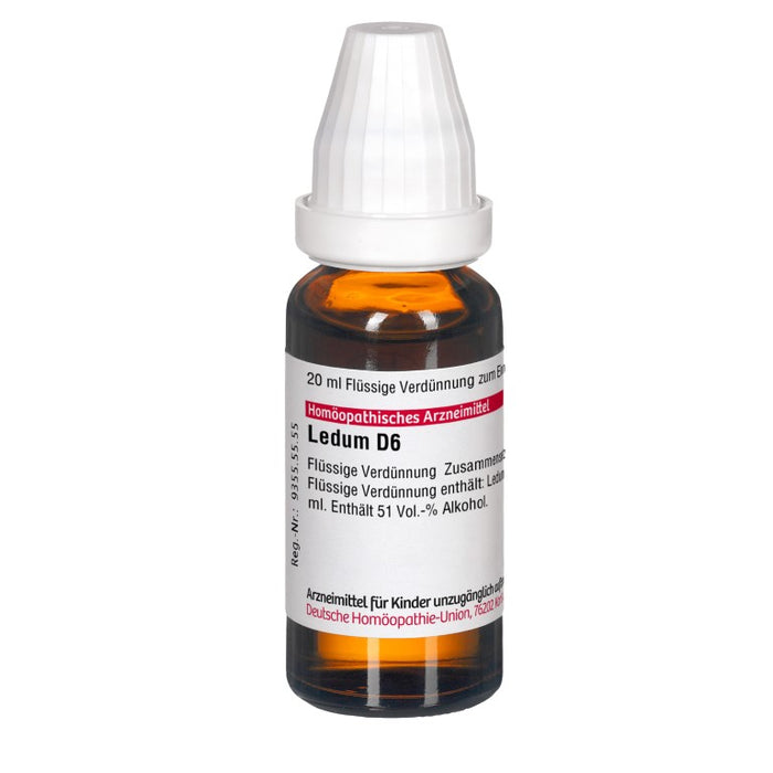 DHU Ledum D6 Dilution, 20 ml Lösung