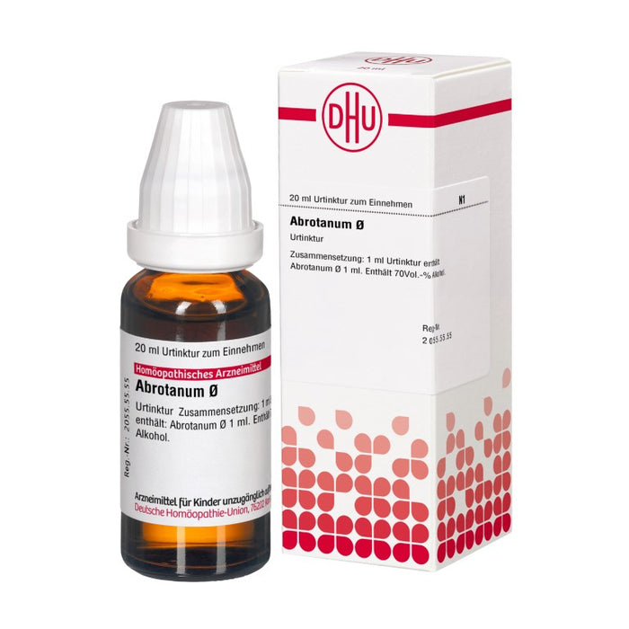 DHU Abrotanum Ø Urtinktur, 20 ml Lösung