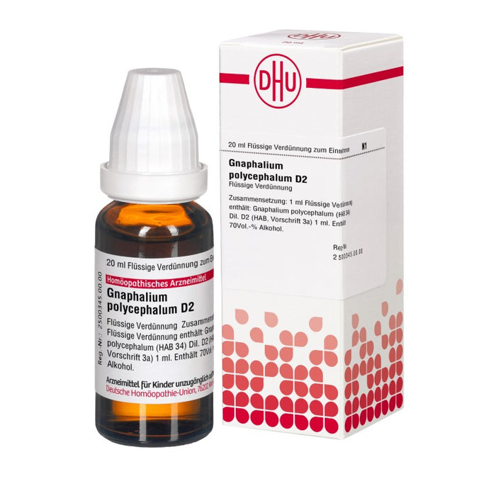 DHU Gnaphalium polycephalum D2 Dilution, 20 ml Lösung