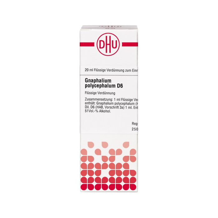 DHU Gnaphalium polycephalum D6 Dilution, 20 ml Lösung