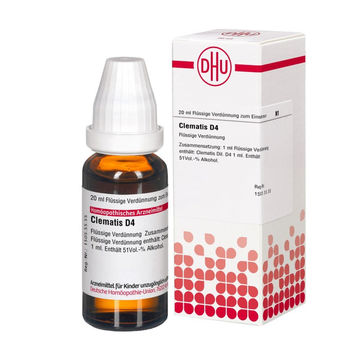 DHU Clematis D4 Dilution, 20 ml Lösung