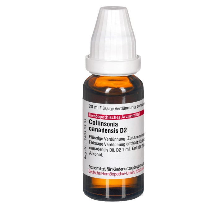 DHU Collinsonia canadensis D2 Dilution, 20 ml Lösung