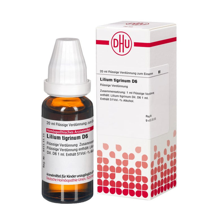 DHU Lilium tigrinum D6 Dilution, 20 ml Lösung