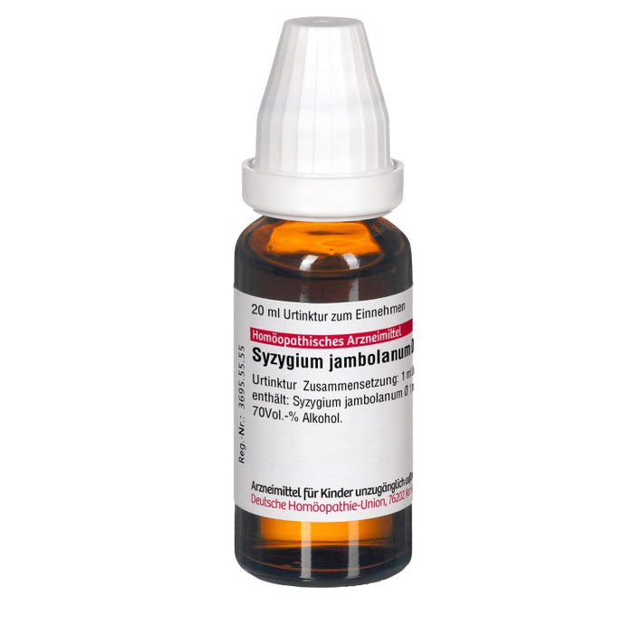 Syzygium jambolanum Urtinktur D1 DHU, 20 ml Lösung