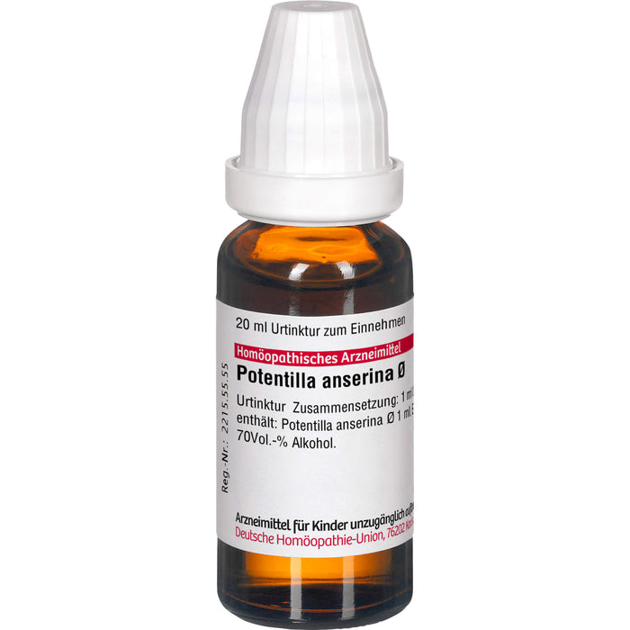 DHU Potentilla anserina Urtinktur, 20 ml Lösung