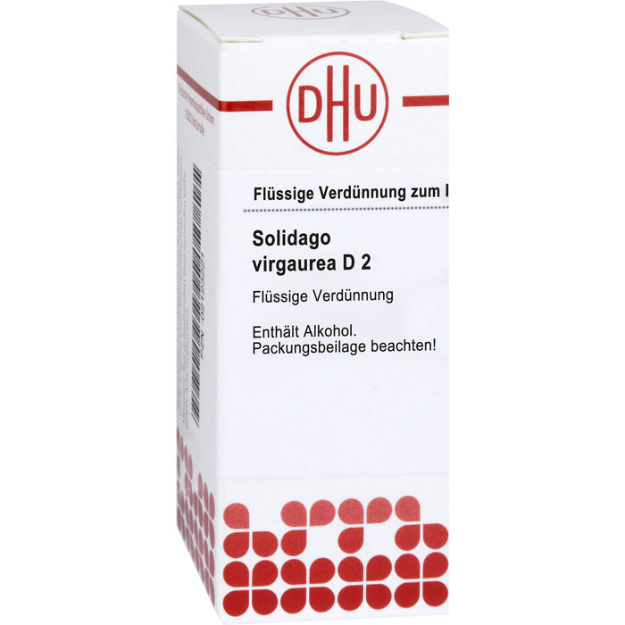 DHU Solidago Virgaurea D 2 Verdünnung, 20 ml Lösung