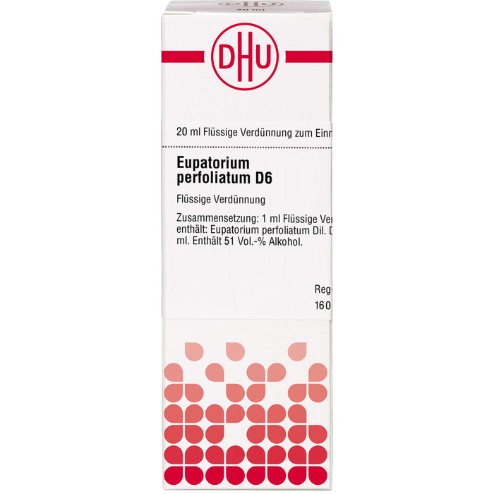 Eupatorium perfoliatum D6 DHU Dilution, 20 ml Lösung