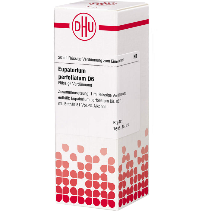 Eupatorium perfoliatum D6 DHU Dilution, 20 ml Lösung