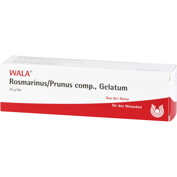 Rosmarinus/Prunus comp., Gelatum, 30 g Salbe