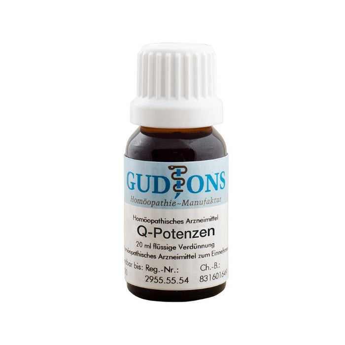 GUDJONS Belladonna Q2 flüssige Verdünnung, 15 ml Lösung