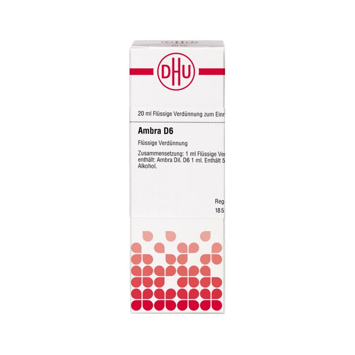 DHU Ambra D6 Dilution, 20 ml Lösung