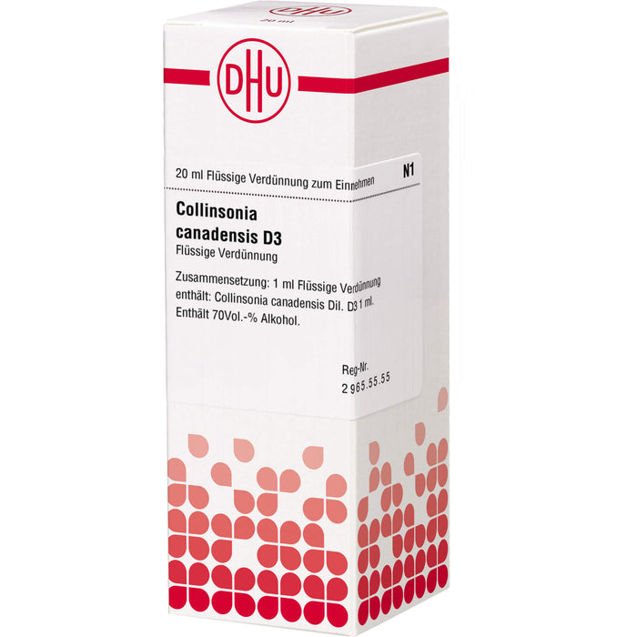 Collinsonia canadensis D3 DHU Dilution, 20 ml Lösung