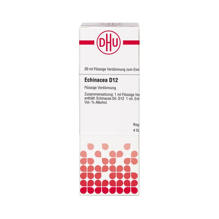 DHU Echinacea D12 Dilution, 20 ml Lösung