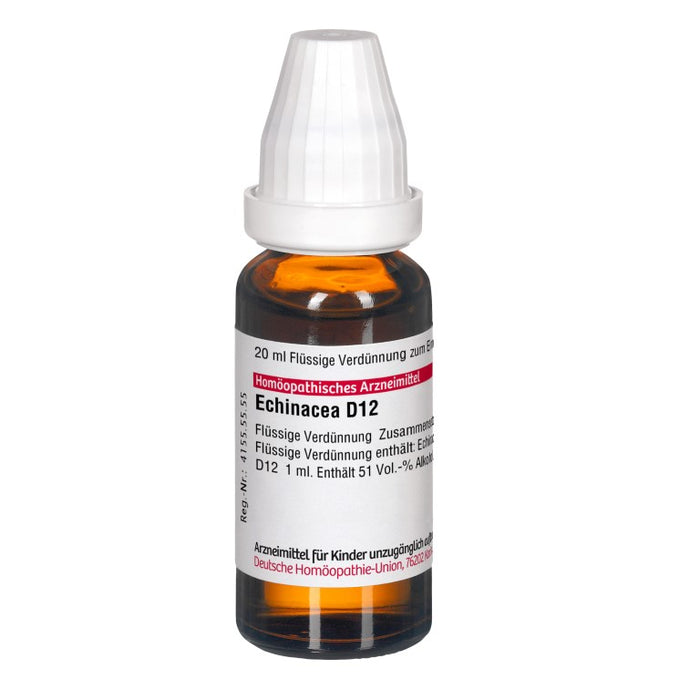 DHU Echinacea D12 Dilution, 20 ml Lösung