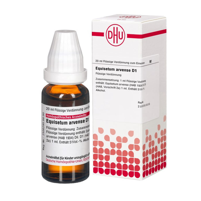 Equisetum arvense D1 DHU Dilution, 20 ml Lösung