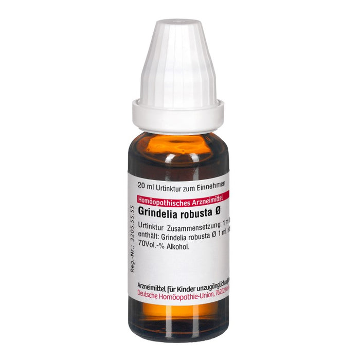 Grindelia robusta Urtinktur D1 DHU, 20 ml Lösung