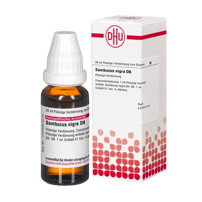 Sambucus nigra D6 DHU Dilution, 20 ml Lösung