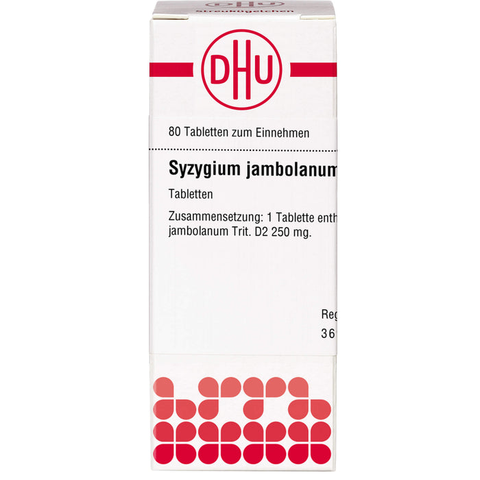 DHU Syzygium jambolaneum D 2 Tabletten, 80 St. Tabletten