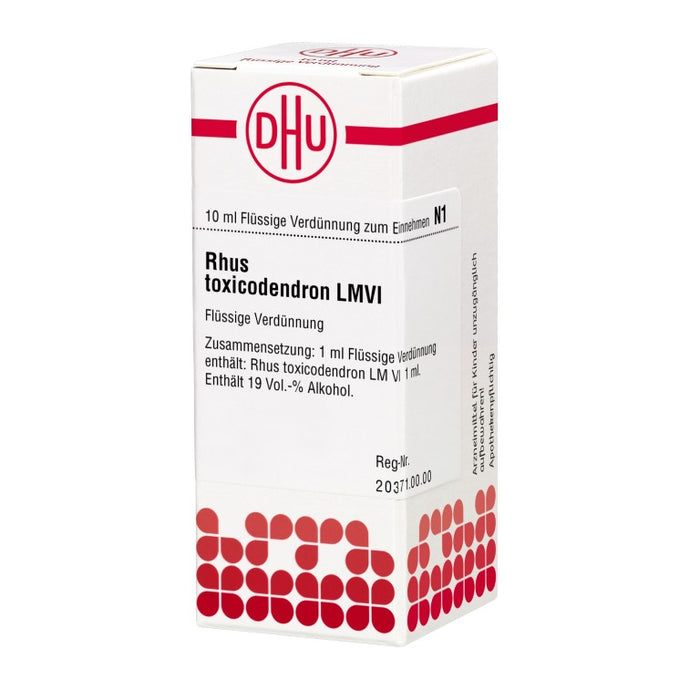 DHU Rhus toxicodendron LM VI Dilution, 10 ml Lösung