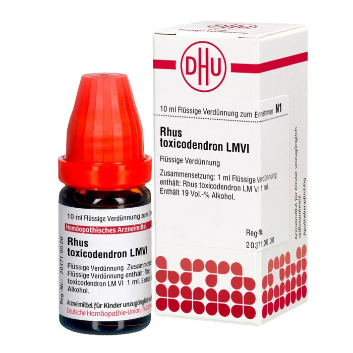 DHU Rhus toxicodendron LM VI Dilution, 10 ml Lösung