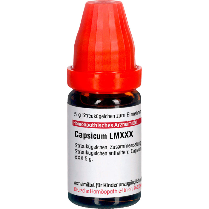 DHU Capsicum LM XXX Streukügelchen, 5 g Globules