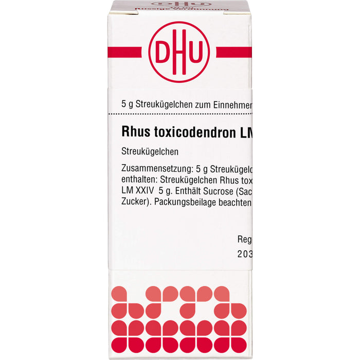 DHU Rhus toxicodendron LM XXIV Streukügelchen, 5 g Globuli