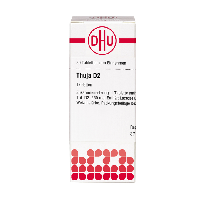 DHU Thuja D2 Tabletten, 80 pcs. Tablets