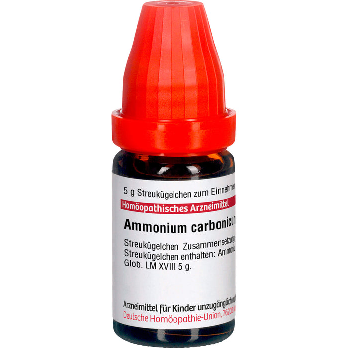 Ammonium carbonicum LM XVIII DHU Globuli, 5 g Globuli