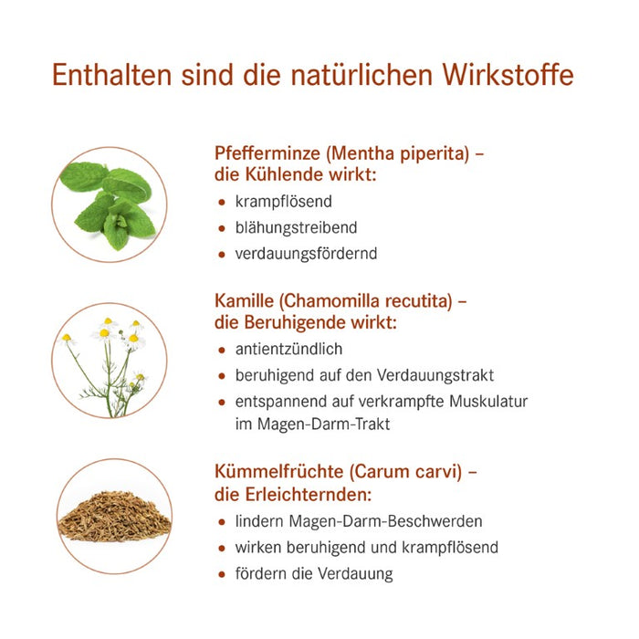 Pascoventral flüssig gegen Magen- und Darmbeschwerden, Blähungen und  Völlegefühl, 50 ml Solution