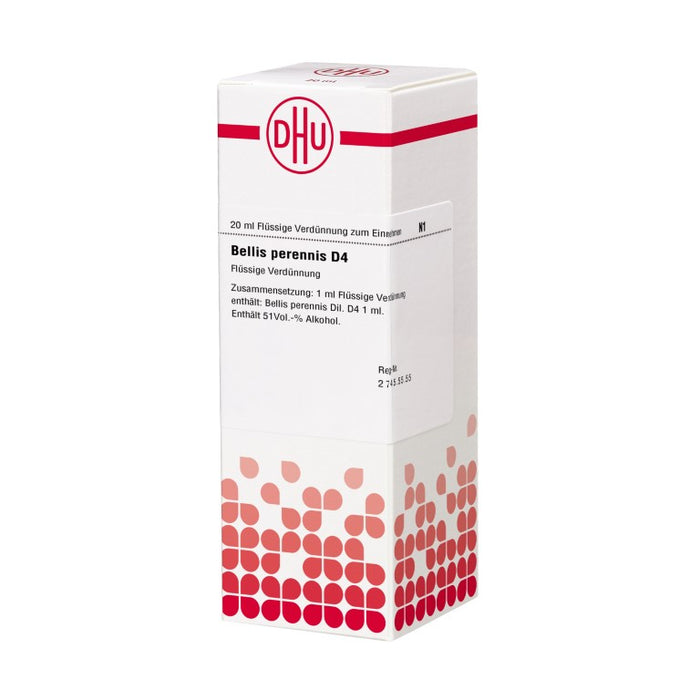 DHU Bellis perennis D4 Dilution, 20 ml Lösung