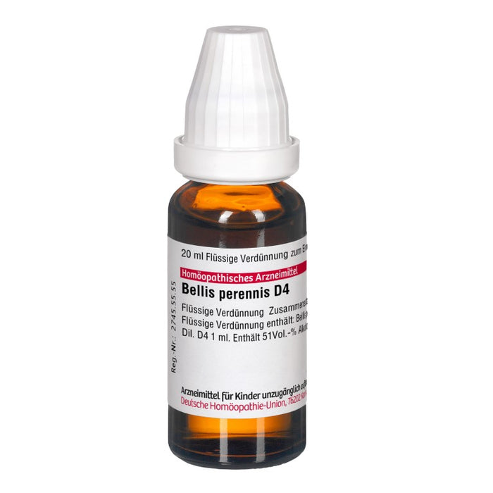 DHU Bellis perennis D4 Dilution, 20 ml Lösung