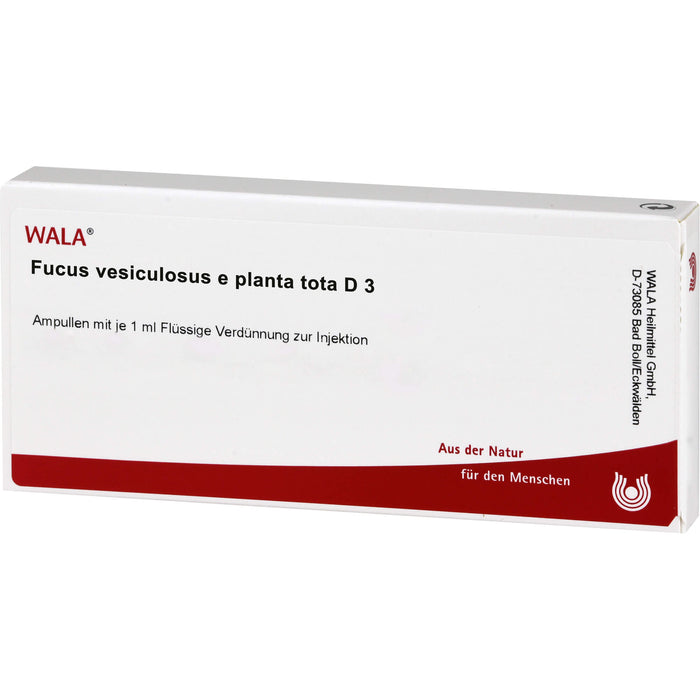 WALA Fucus vesiculosus e planta tota D3 flüssige Verdünnung, 10 St. Ampullen