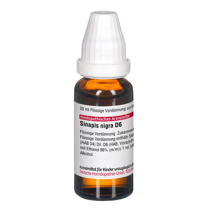 Sinapis nigra D6 DHU Dilution, 20 ml Lösung