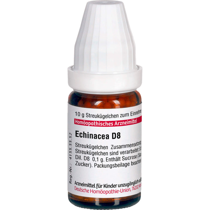 DHU Echinacea D8 Streukügelchen, 10 g Globuli