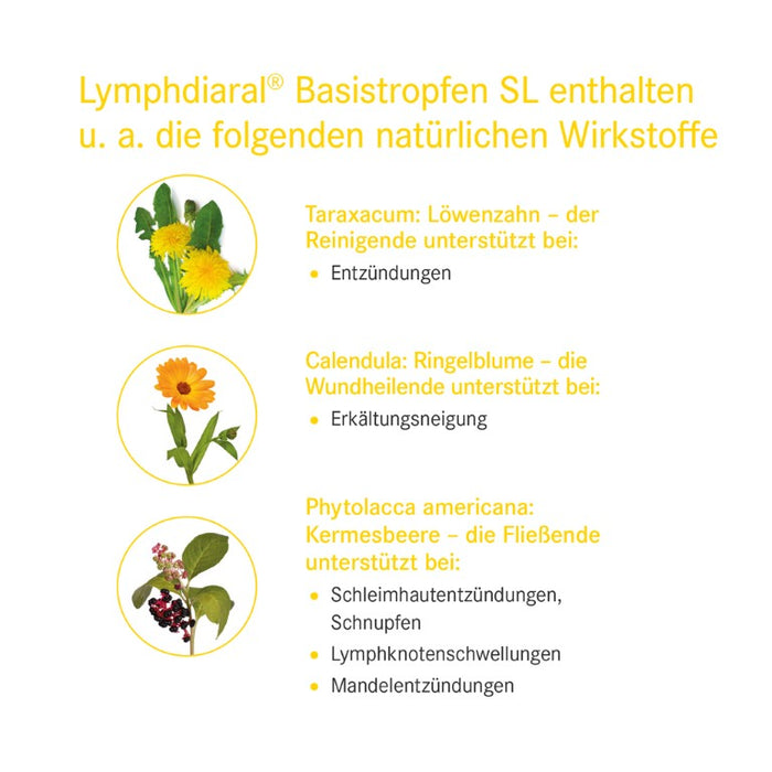 Lymphdiaral Basistropfen SL, 50 ml Lösung