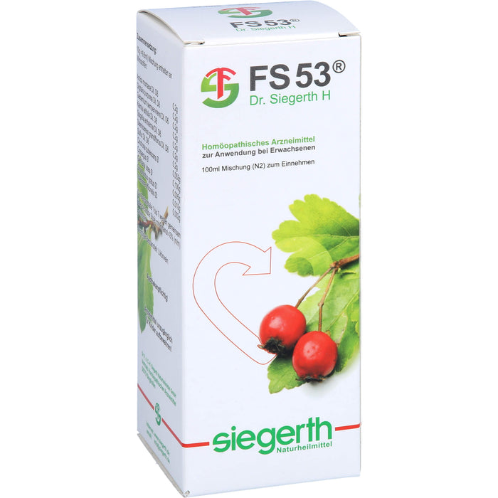 FS 53 Dr. Siegerth H flüssig, 100 ml FLU