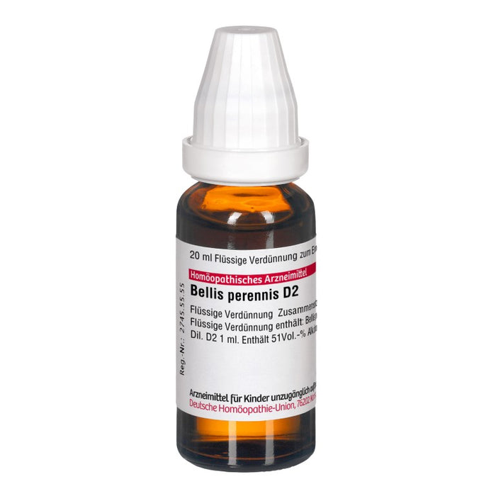 DHU Bellis perennis D2 Dilution, 20 ml Lösung