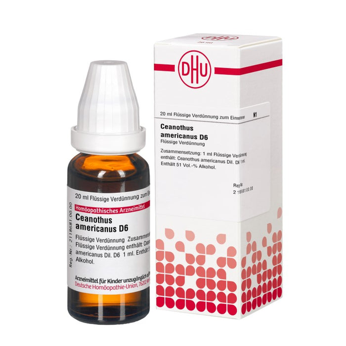 Ceanothus americanus D6 DHU Dilution, 20 ml Lösung