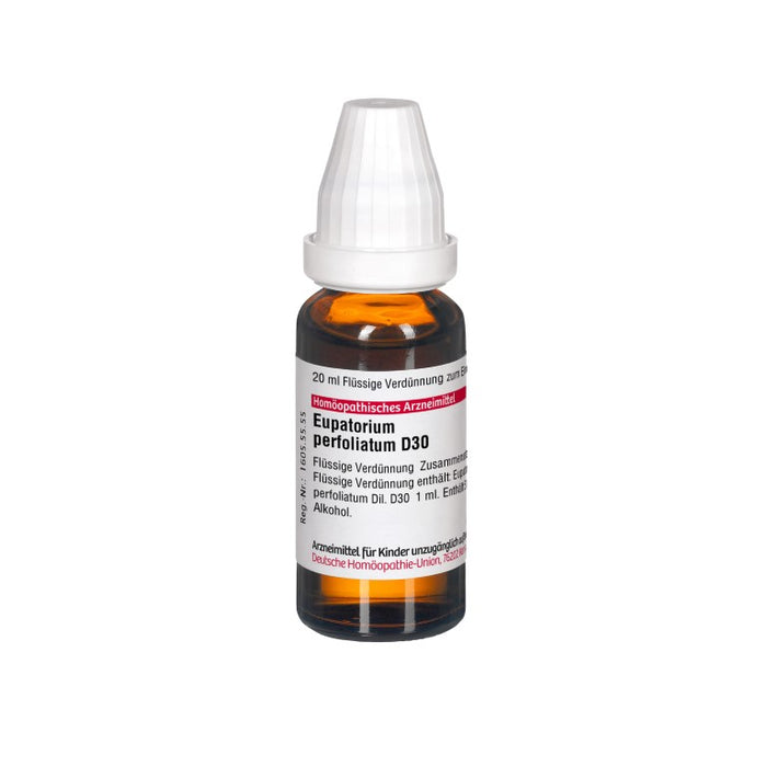 Eupatorium perfoliatum D30 DHU Dilution, 20 ml Lösung