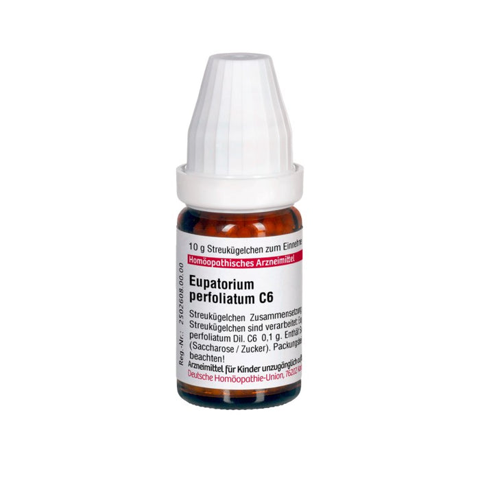 DHU Eupatorium perfoliatum C6 Streukügelchen, 10 g Dispersion