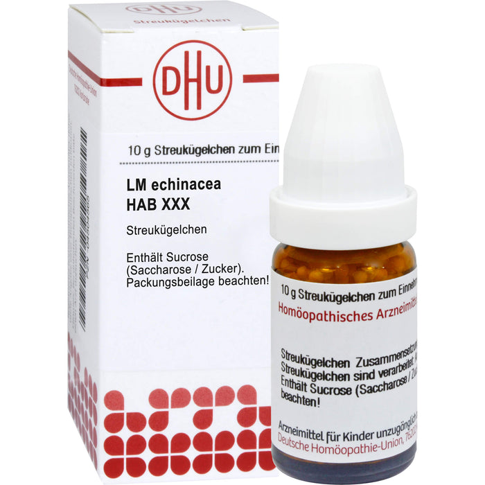 Echinacea HAB LM XXX DHU Globuli, 5 g Globuli