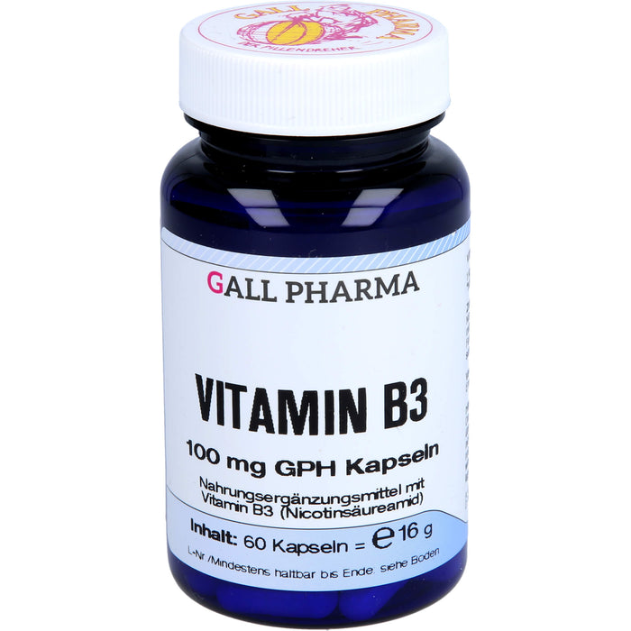 GALL PHARMA Vitamin B3 100 mg GPH Kapseln, 60 pc Capsules