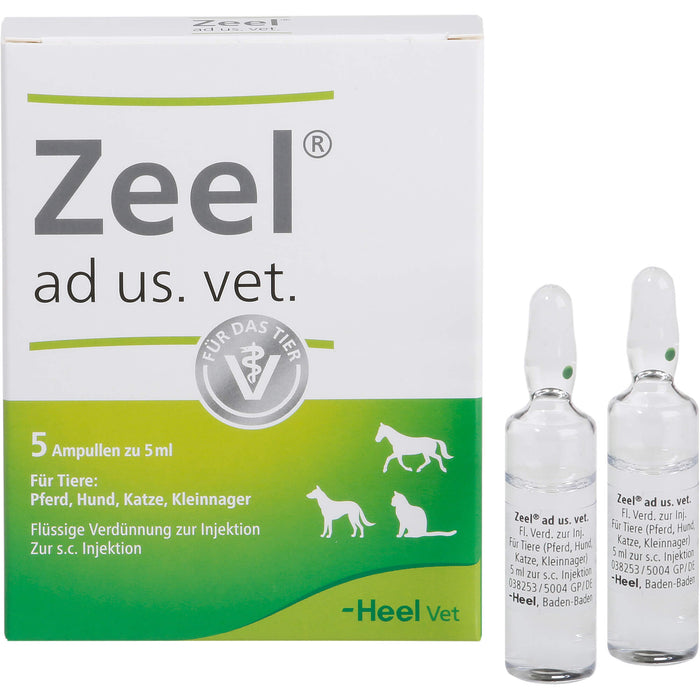 Zeel ad us. vet. Ampullen Flüssige Verdünnung zur Injektion, 5 ml Lösung