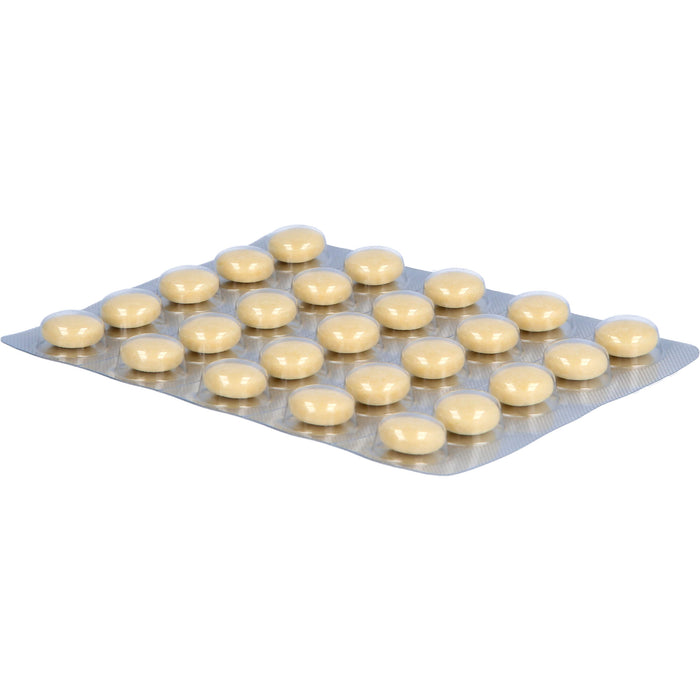 Jarsin 300 mg, überzogene Tabletten, 100 pc Tablettes