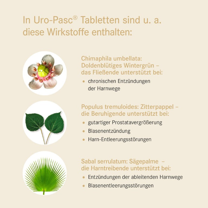 Uro-Pasc Tabletten, 100 St TAB