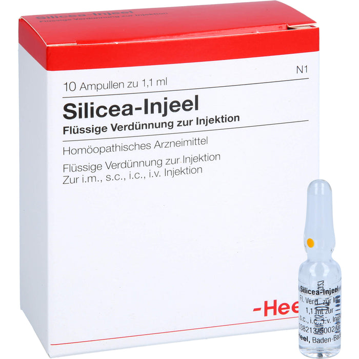 Heel Silicea-Injeel flüssige Verdünnung zur Injektion, 10 pcs. Ampoules