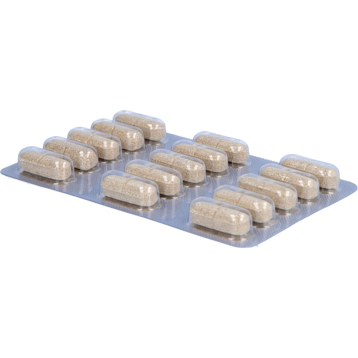 Sanagast Laves Tabletten, 30 pcs. Tablets